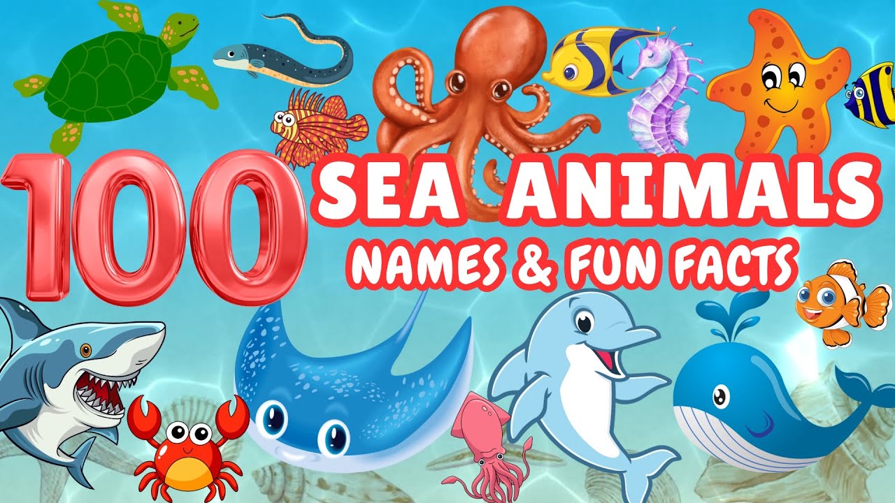 100 Amazing SEA ANIMALS and Fun Facts for Kids | Learn 100 Ocean Animals for Kids & Toddlers