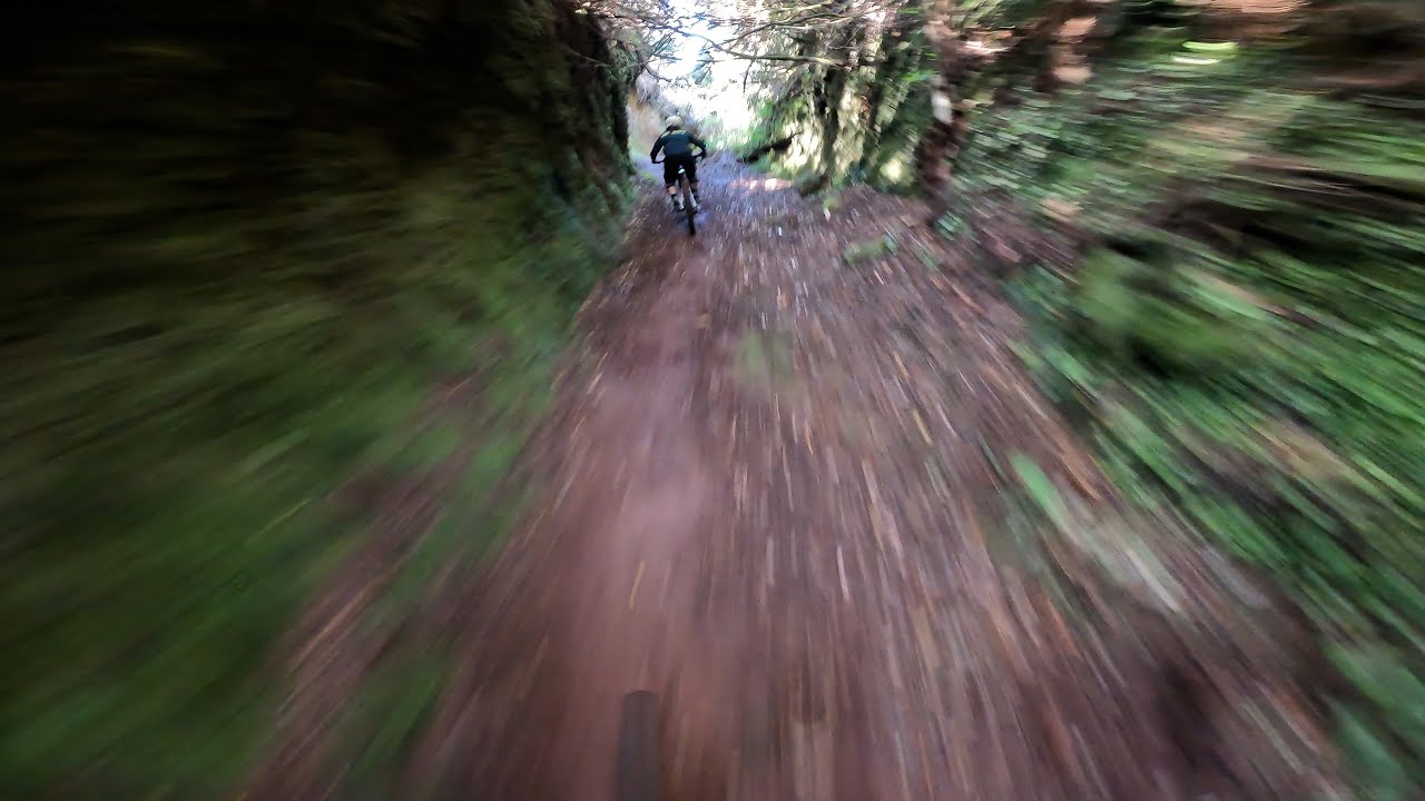 Madeira Island MTB 