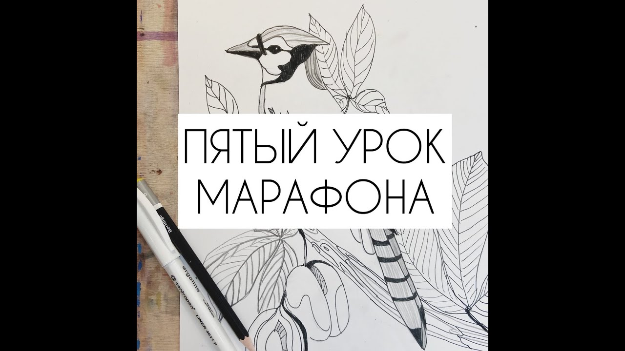 5 урок марафона. Стилизация