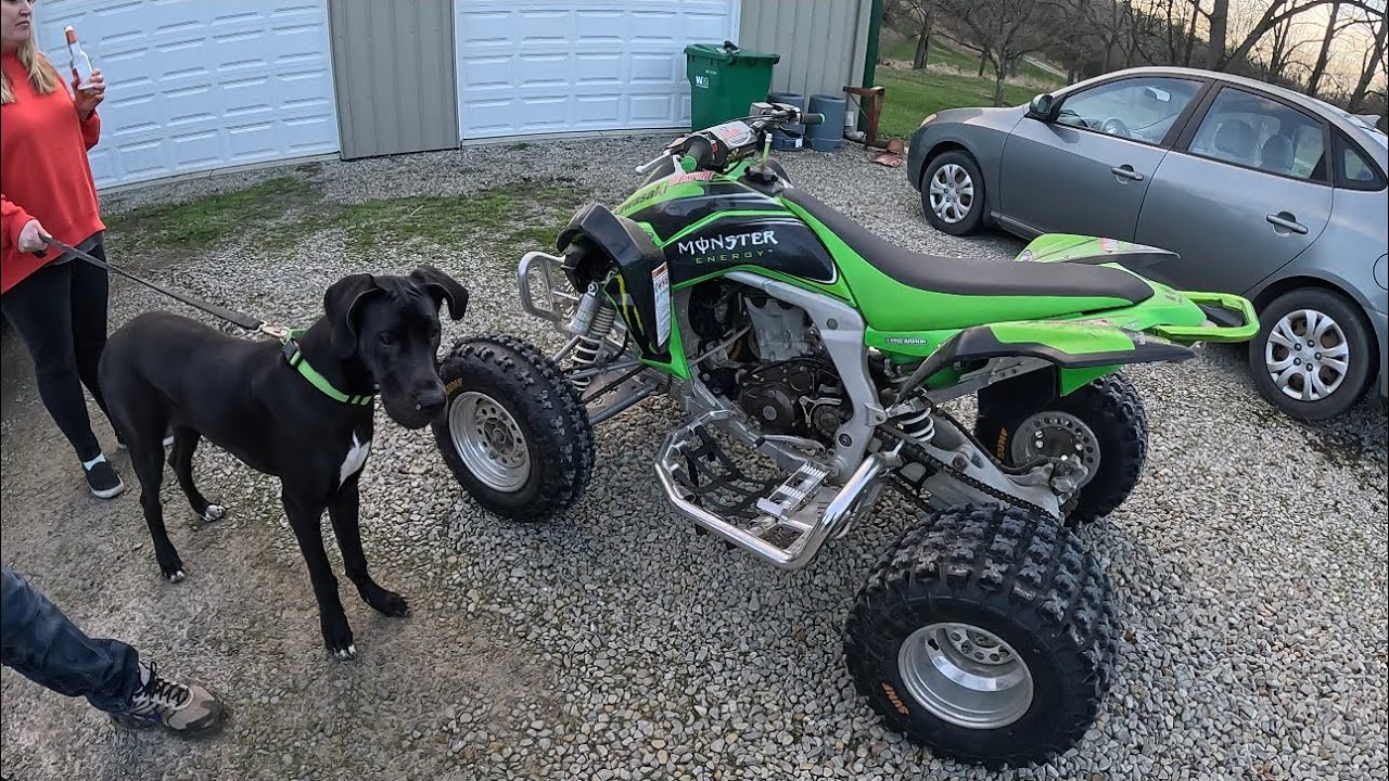 Покупка квадроцикла Kawasaki KFX450 2008 года