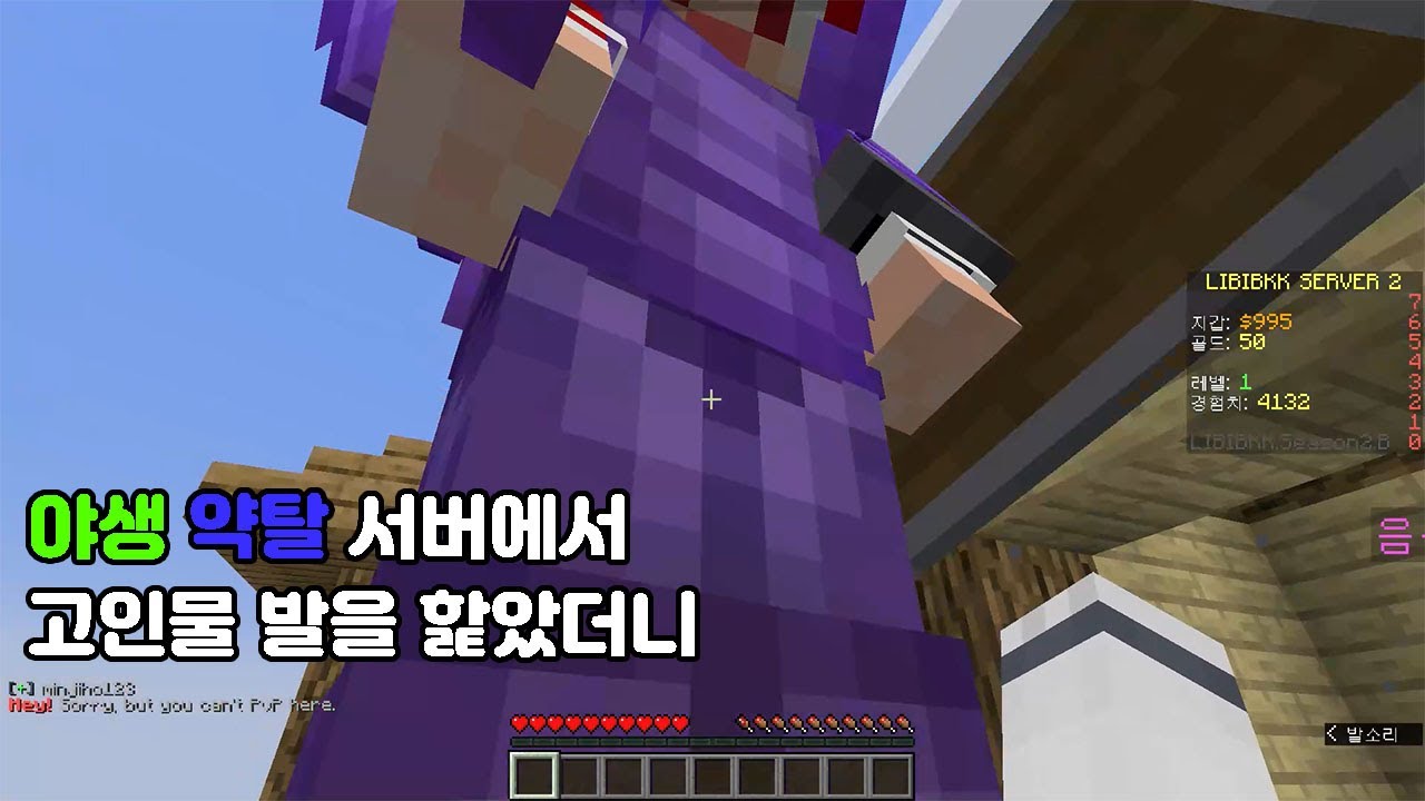 야생 약탈 서버에서 팀의 원수를 참교육 시켜봤다 [마크]