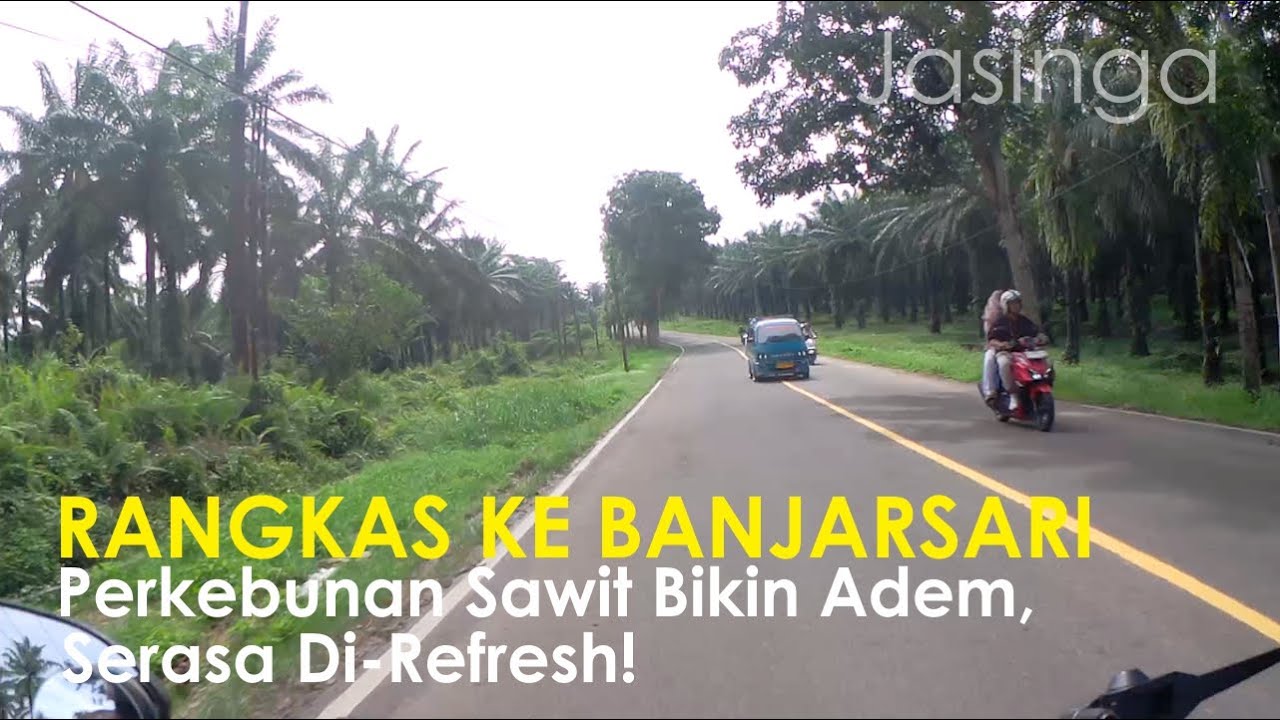 Masuk Kebun Sawit, Serasa Masuk AC Alam! Rangkas–Menuju Ciamis 😁