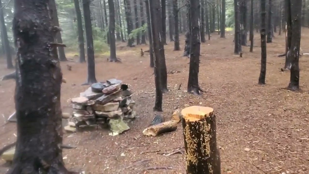 Dolly sods day hike full loop 