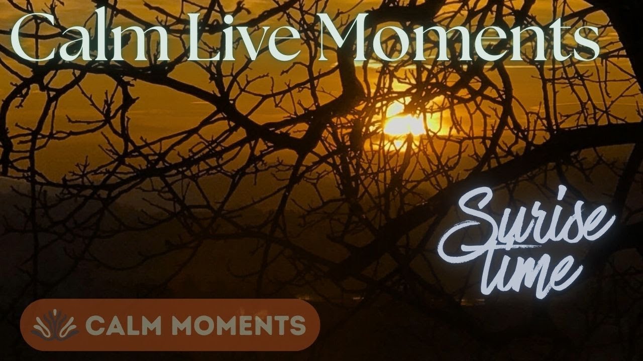 LIVE NOW: Sunrise Calm Session | Relax & De-Stress | Calm Moments