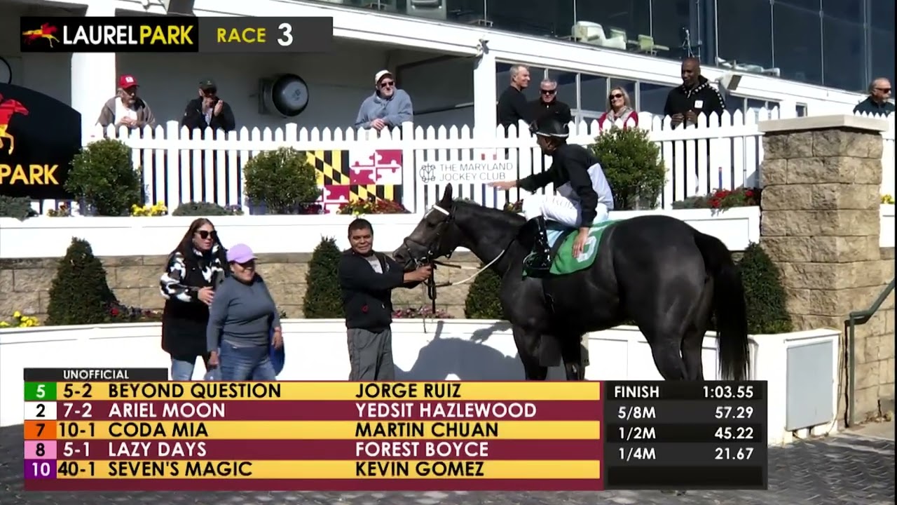 Laurel Park 2025-11-1 REPLAY SHOW