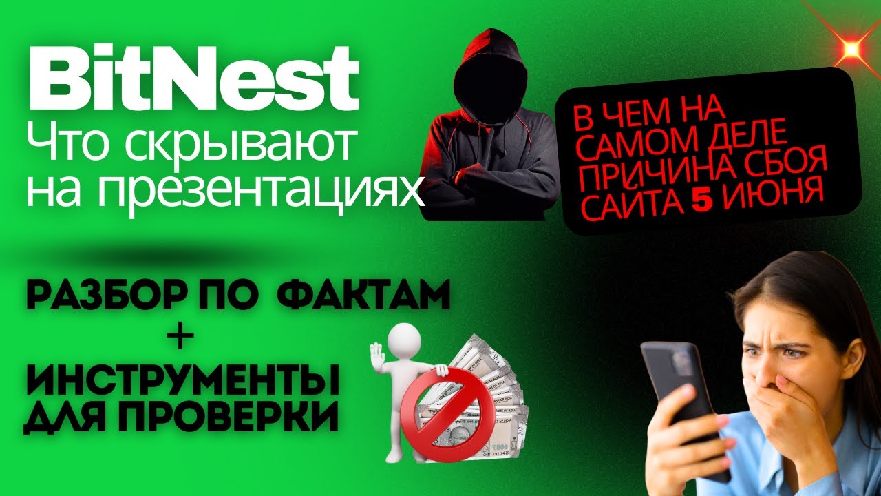Стоит ли вкладывать в BitNest в 2025 году?