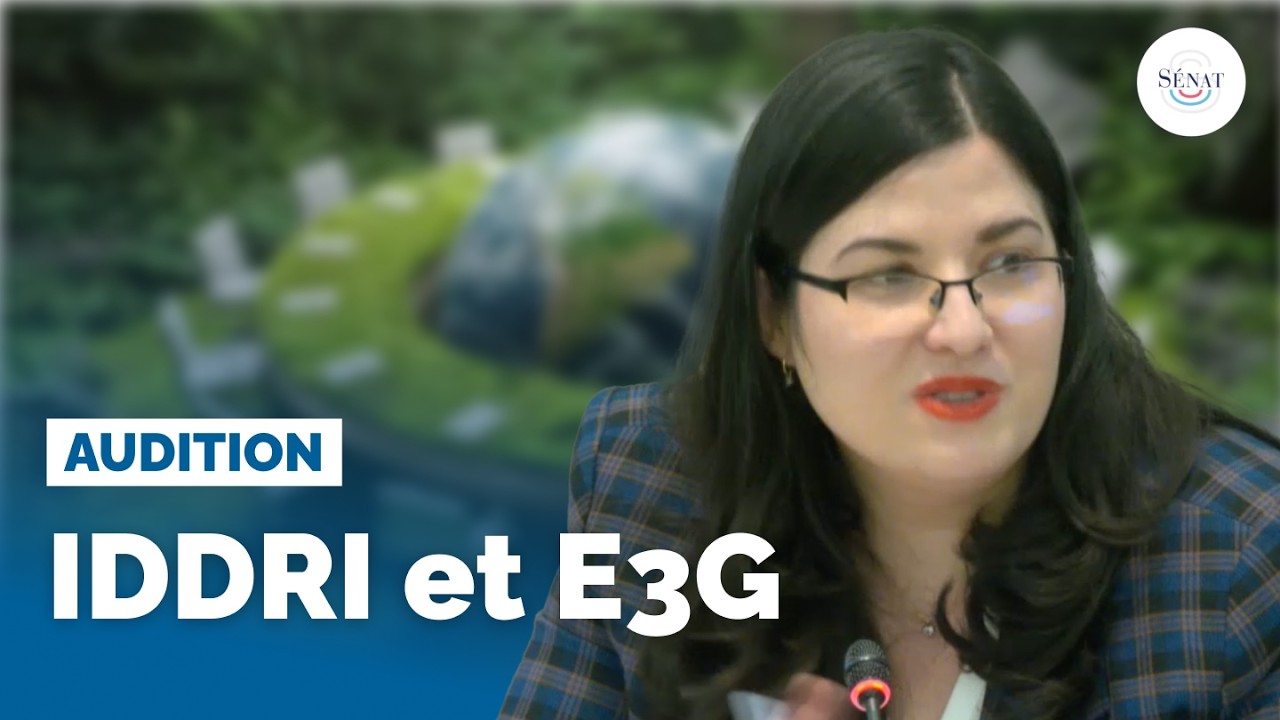 🔴 Diplomatie climatique : audition de l’IDDRI et d’E3G