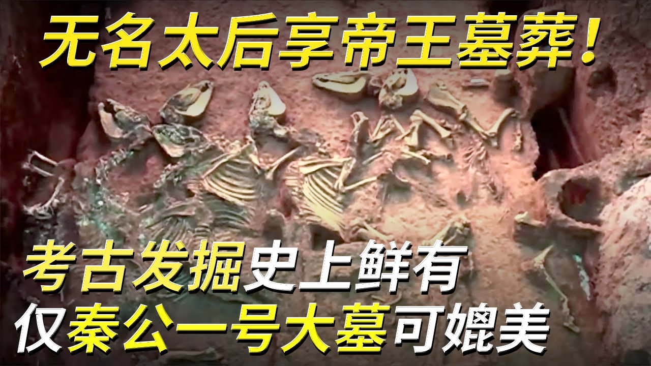 规模媲美秦公一号大墓 文物与秦始皇陵相似 墓主人竟是历史上籍籍无名的夏太后！ ——夏太后墓特辑 丨 中华国宝