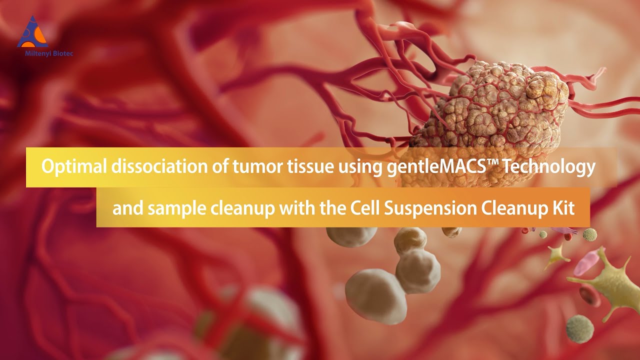 Optimal dissociation of tumor tissue using gentleMACS&trade; Technology and sample cleanup with the CSCK