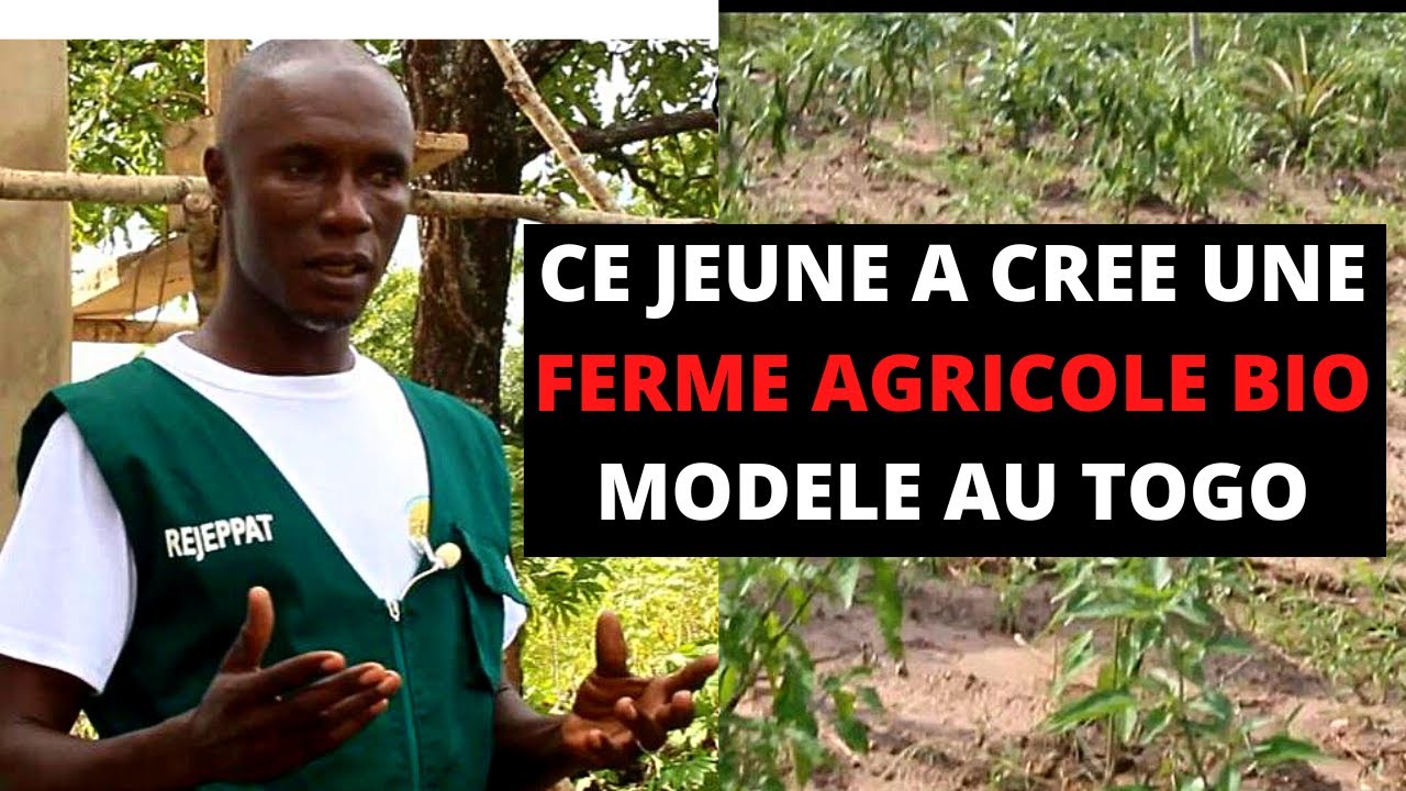 Ce Jeune A Créé Une FERME AGRICOLE BIO Modèle Au TOGO