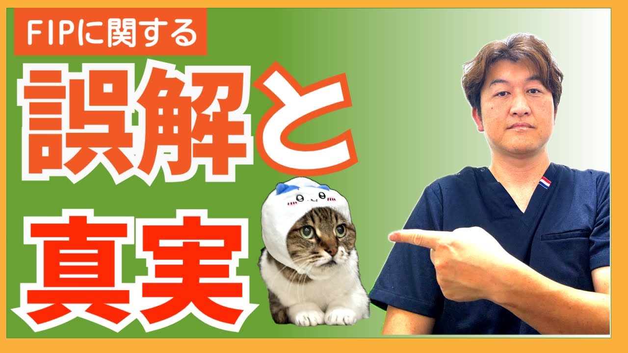猫伝染性腹膜炎の誤解と真実＠猫伝染性腹膜炎（FIP）治療の実際 2024年13本目