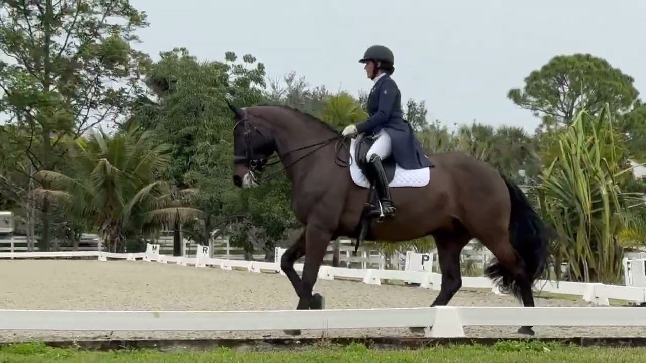 Kristi Foltz riding GOTHAM I1