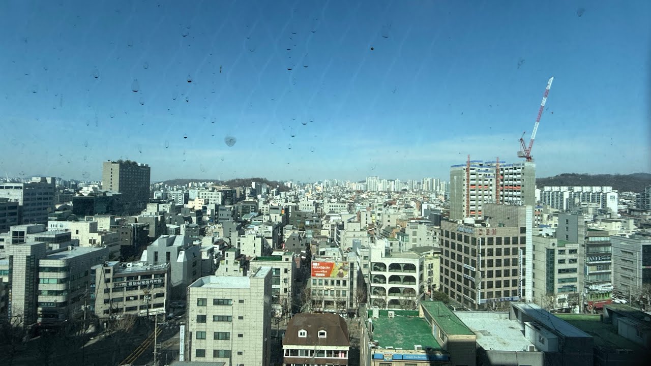 주말풍경입니다.