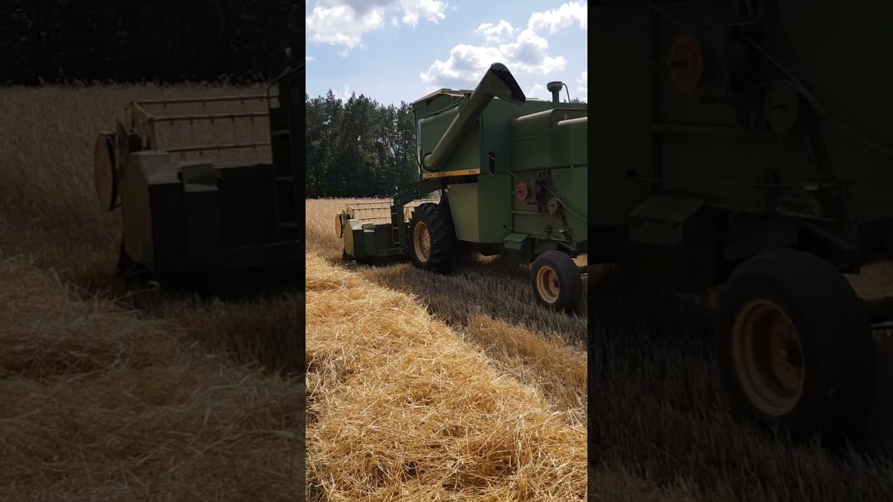 Żniwa 2023 ☆ John Deere 950 w życie ☆