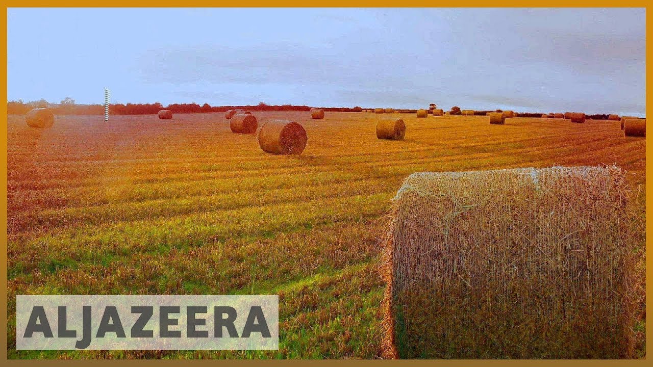 🇺🇸 Farming in the US facing a tough future | Al Jazeera English