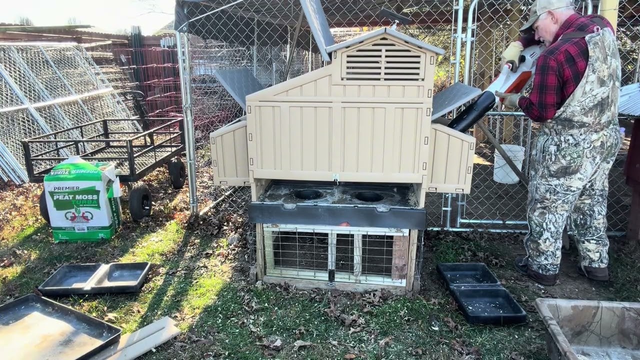 Getting rid of mites 
