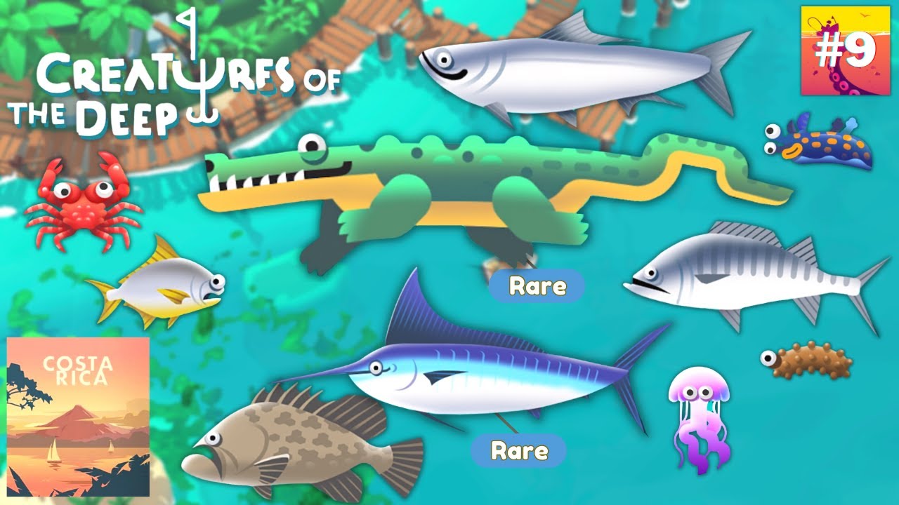 Creatures Of The Deep : Fishes and Creatures in Costa Rica