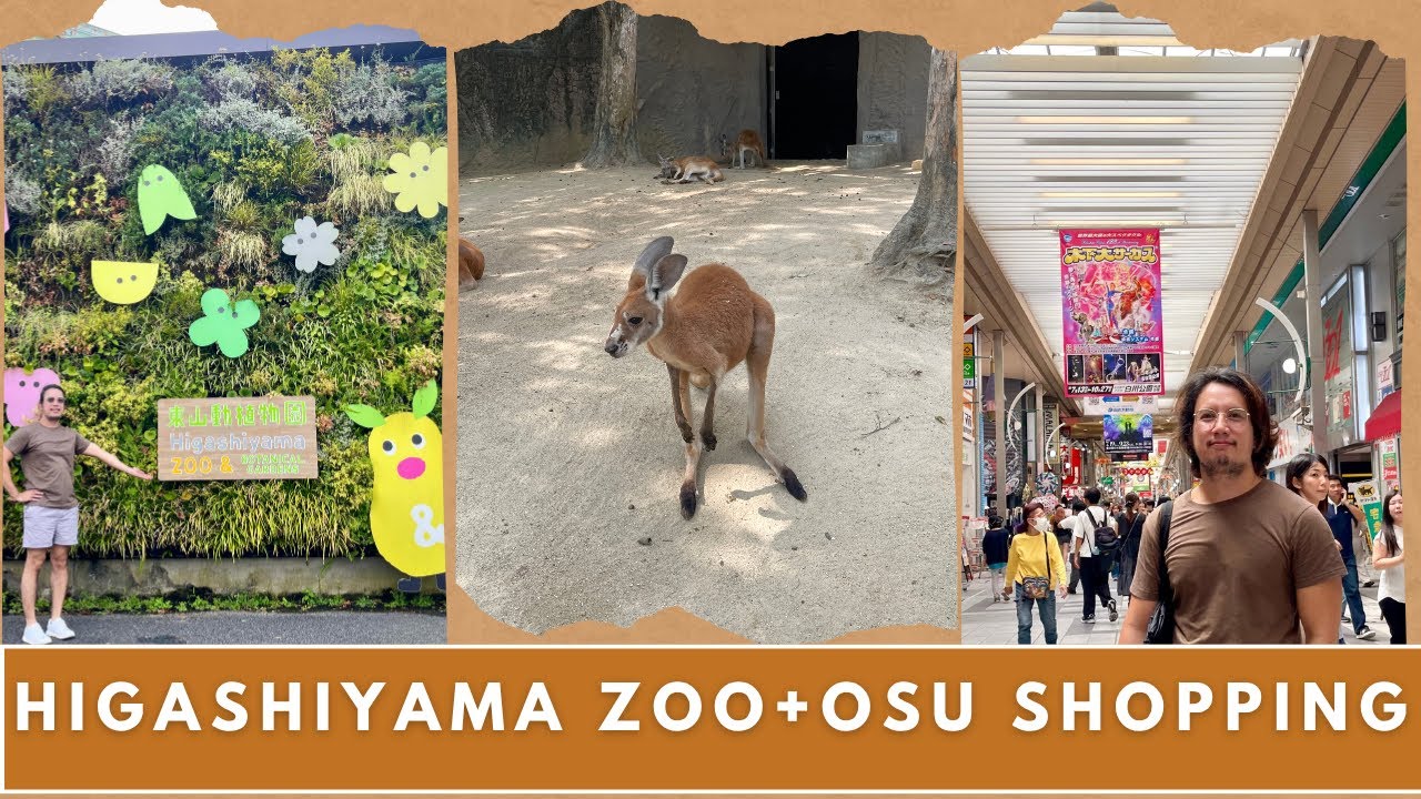 HIGASHIYAMA ZOO | OSU SHOPPING STREET | SHOPPING AT DAISO, MEGA DONKI AND EATING AT ICHIRAN RAMEN