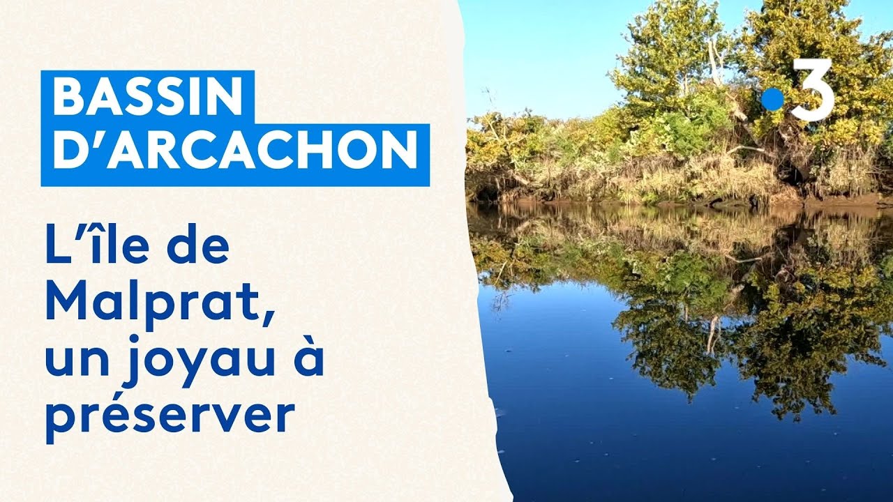 L'&icirc;le de Malprat, un tr&eacute;sor de biodiversit&eacute; pr&egrave;s du Bassin d'Arcachon