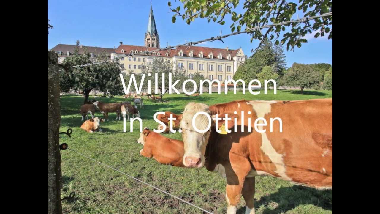 Tiere und Mönche in St. Ottilien