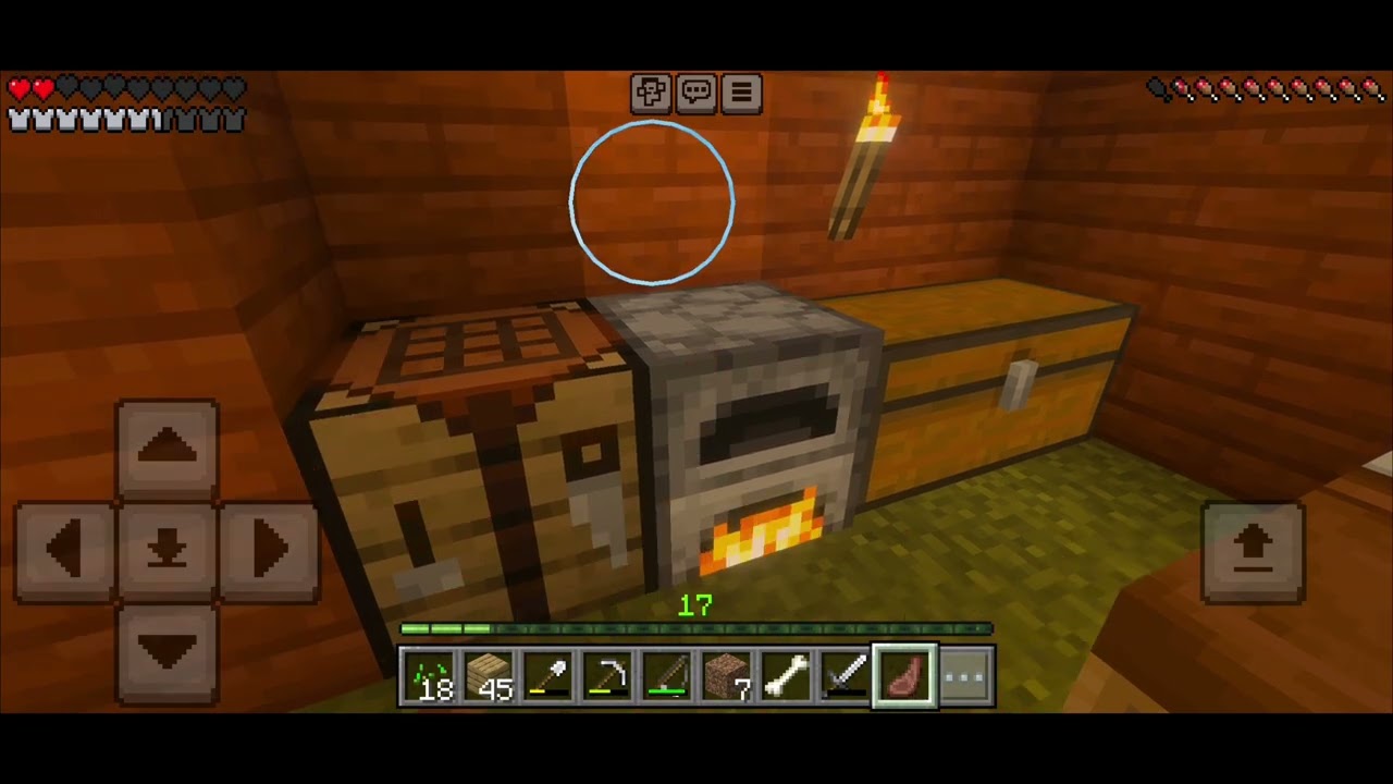 Day 17 Chicken Challenge!! MINECRAFT!! 