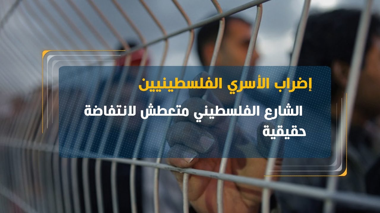 قيادي فتحاوي: الشارع الفلسطيني متعطش لانتفاضة حقيقية