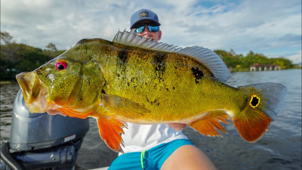 NOTHING Left...Big INVASIVE Fish have Taken Over... (Catch Clean Cook)