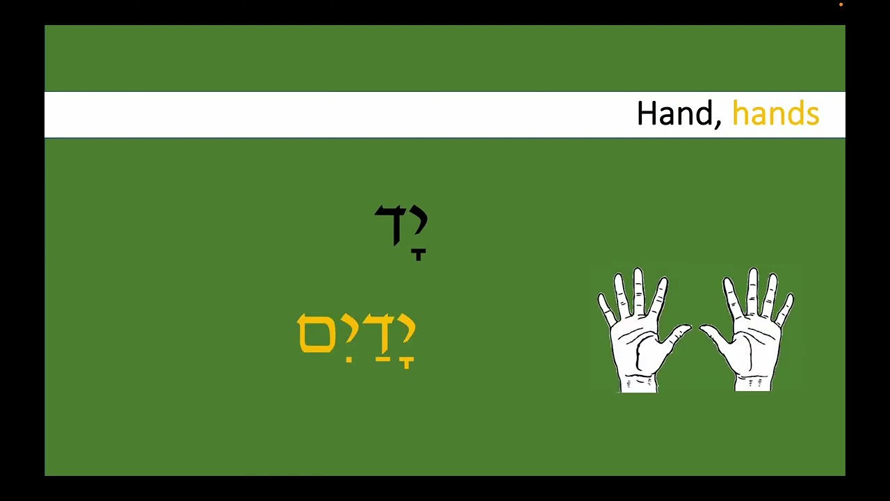 Prayerbook Hebrew 11 Vocabulary Words