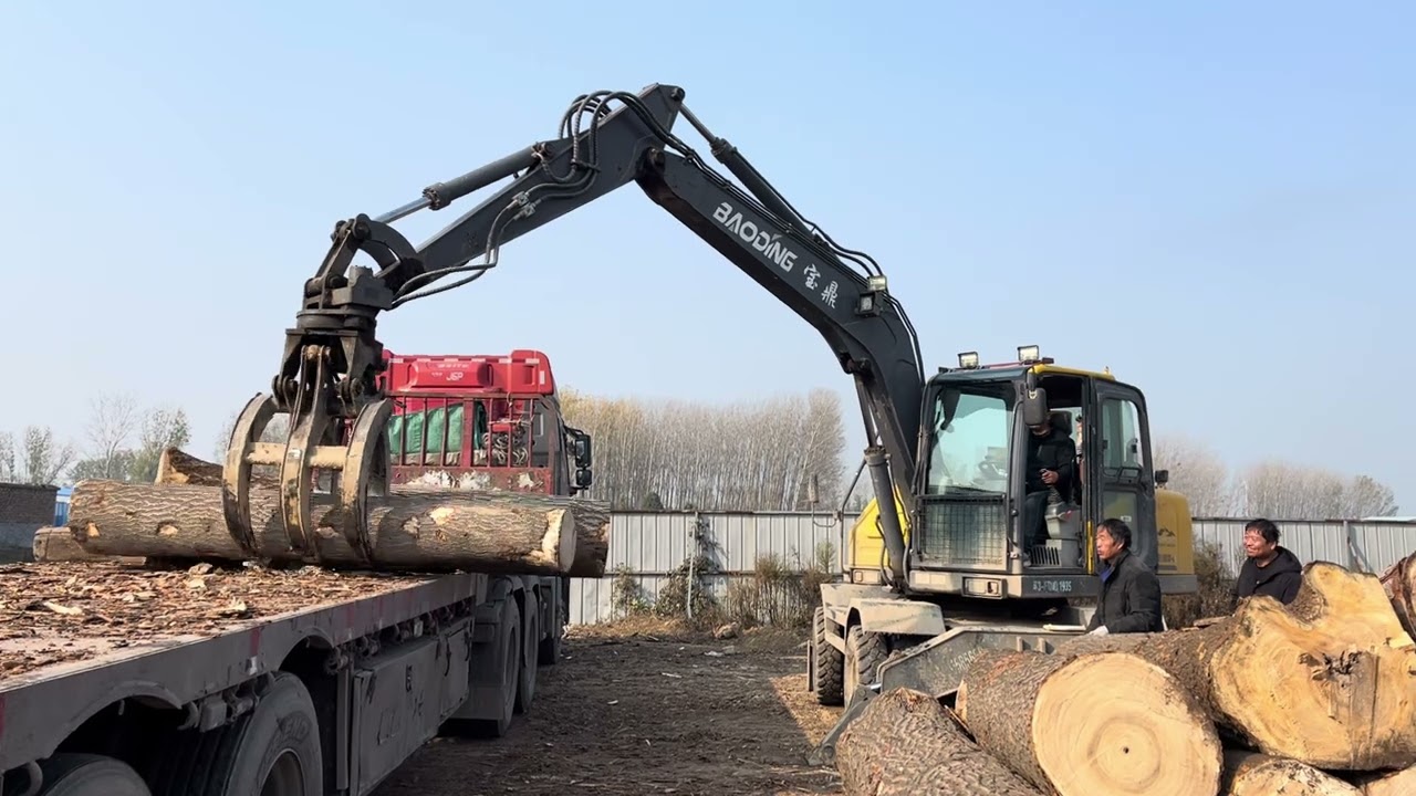 Can you operate this BD wheel excavator wood handler?#wheel #excavator #loader #crane #construction
