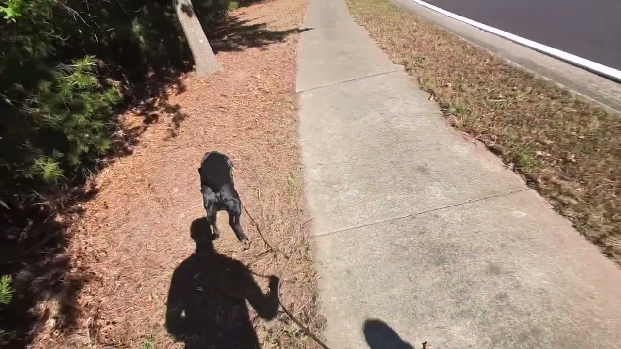 Northern Regional PD Theo