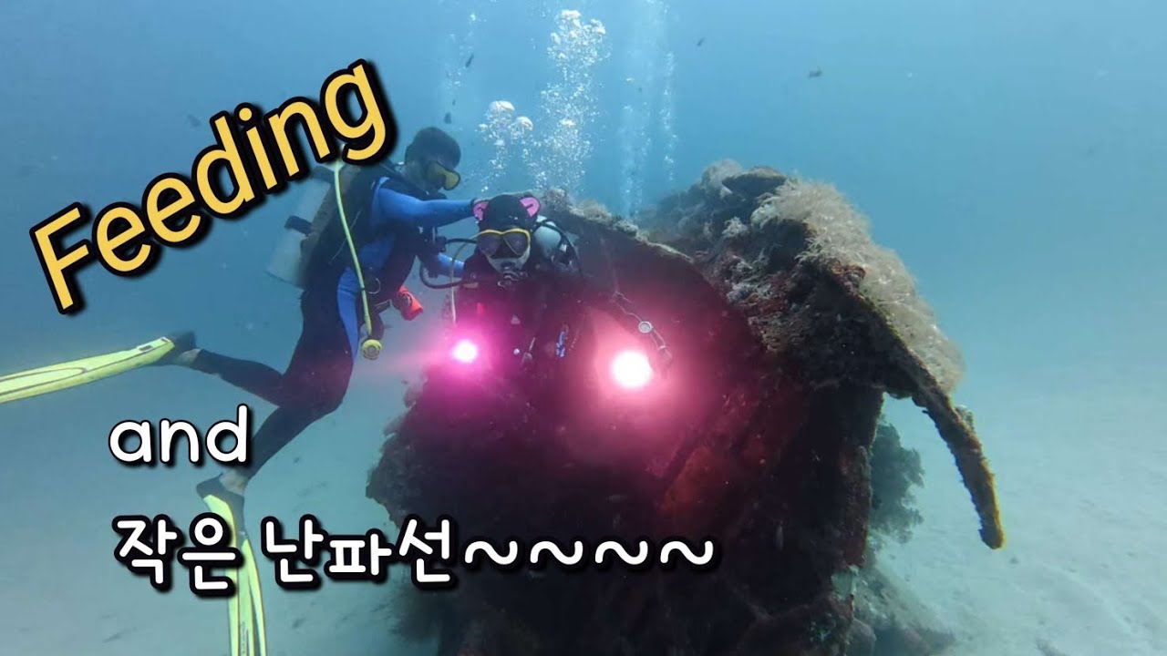 #2026사방비치 #사방블루워터