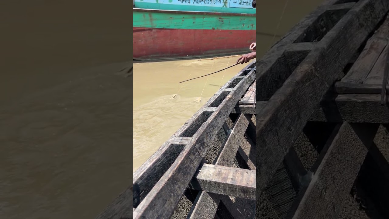 Unique catching fish with hook from the Padma River 🐟