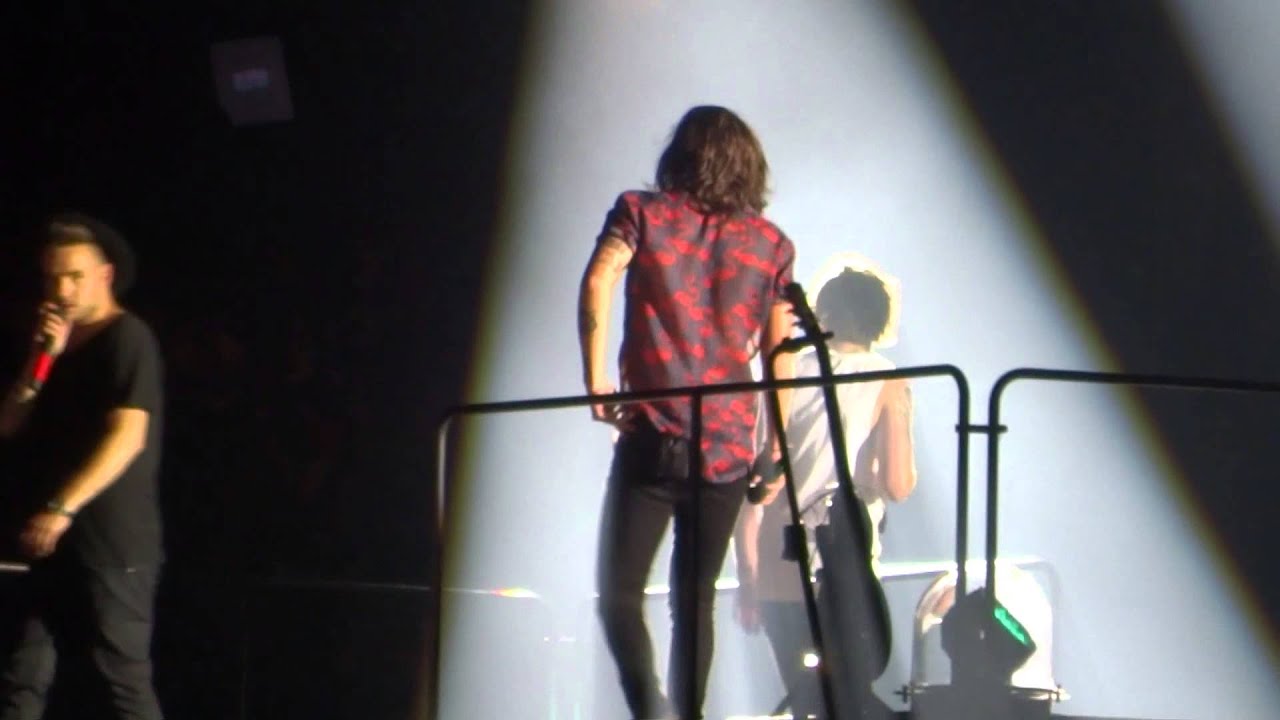 Diana - One Direction : Cardiff Millennium Stadium 6/6/15 (Harry, Louis focused)