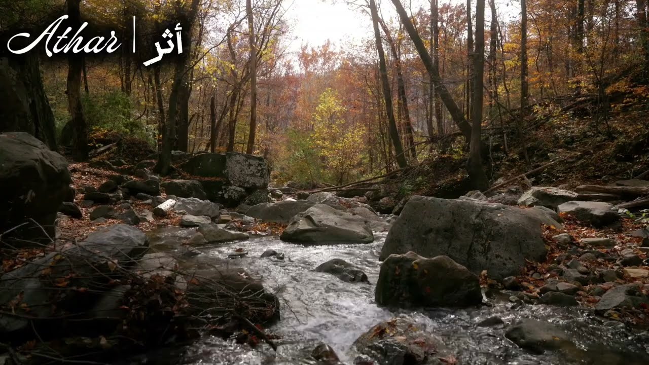 سورة التكوير | Surah At-Takwir - راحة نفسية وهدوء مذهل (Relaxing Nature)🌿
