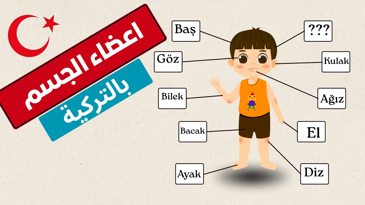 اعضاء جسم الانسان في اللغة التركية
