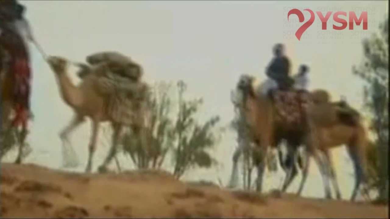 قصة وفاء