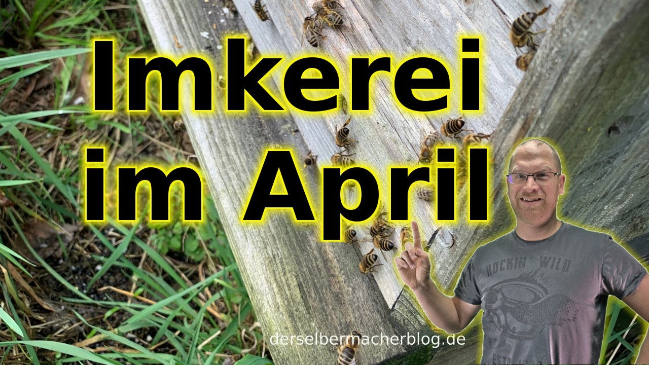 Imkerei im April (Brutkontrolle, Futterkontrolle, Honigräume)