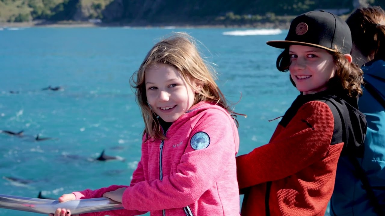 Whale Watch Kaikoura