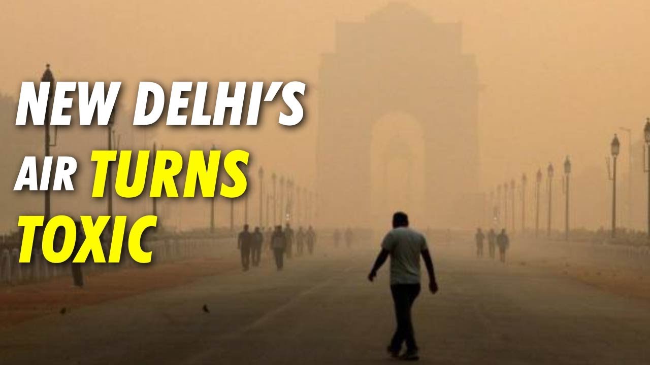 New Delhi shuts down schools, power plants amid air pollution crises | India News| Latest Updates
