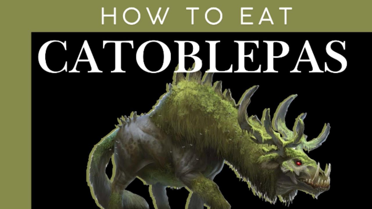 How to Eat Catoblepas
