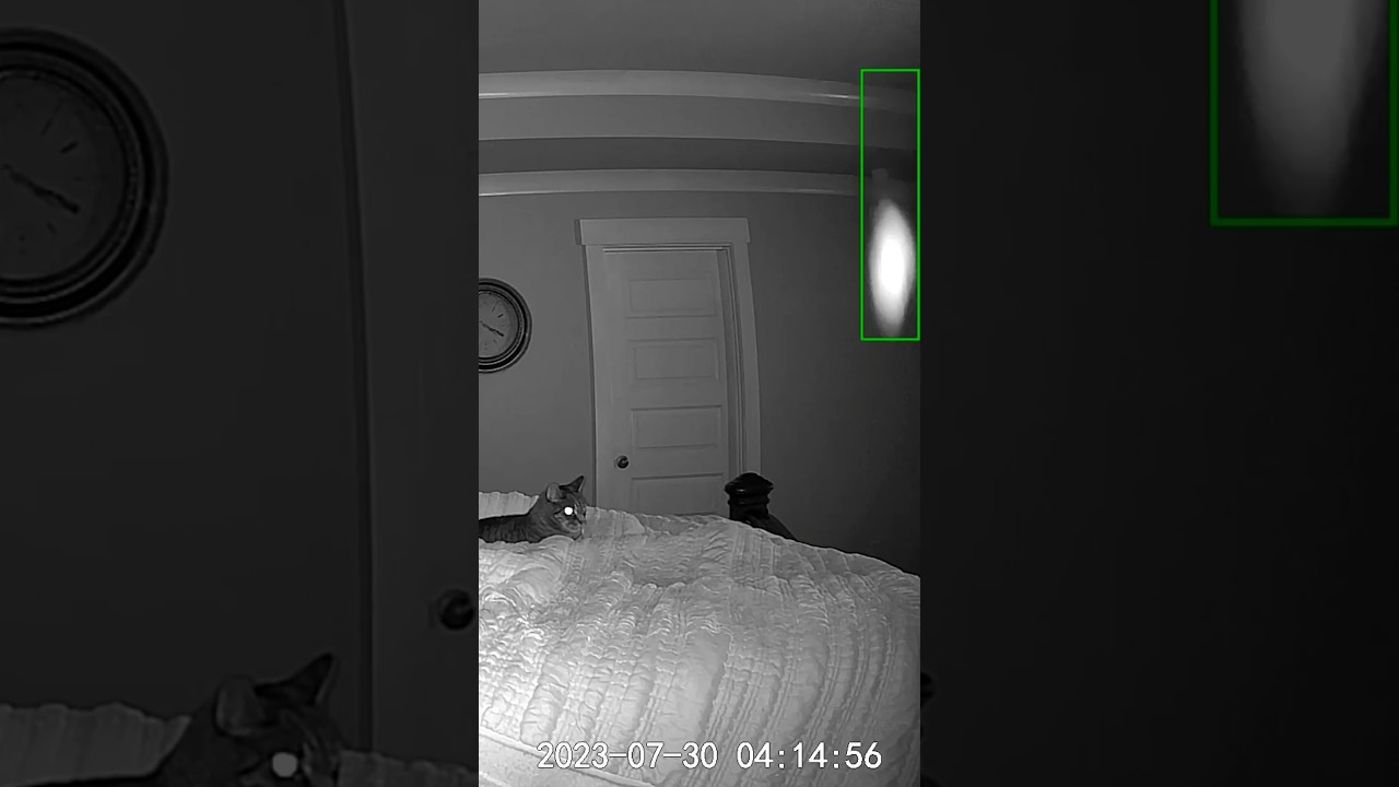 Look at that orb! #paranormal #ghost#orbs #orbfan