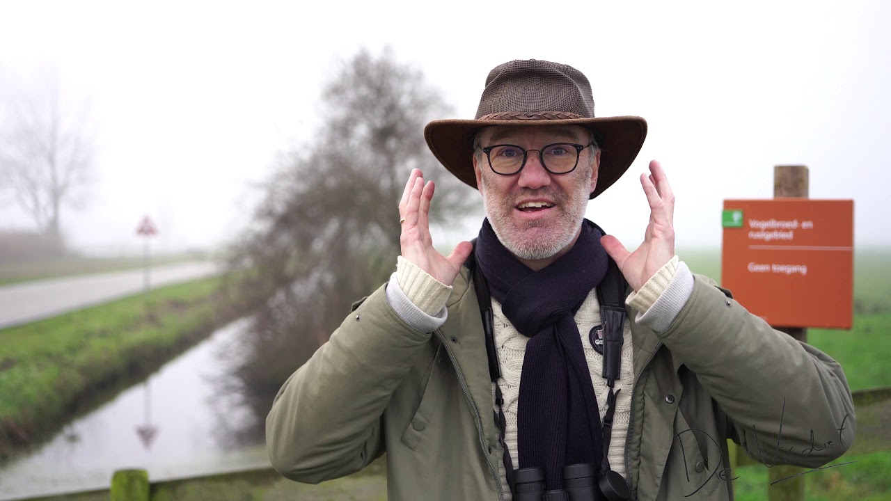 Vlog N° 224 Drie soorten ganzen in de Donkse Laagten / Three species of geese