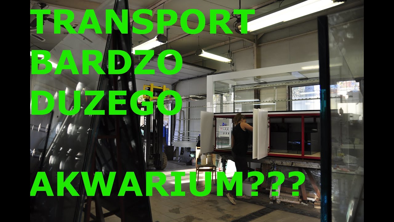 JAK WYGLĄDA TRANSPORT BARDZO DUŻEGO AKWARIUM ???