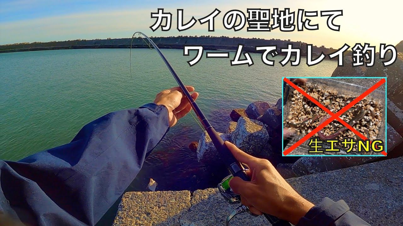 カレイ釣りの聖地ならワームでカレイ爆釣できる説！検証した結果‥【車中泊釣り旅北海道編・第4話】