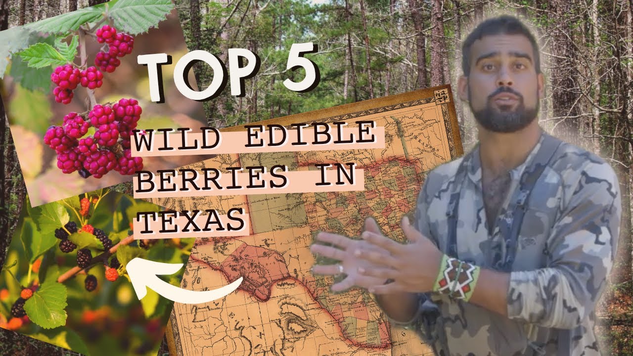 Top 5 Wild Edible Berries in Texas