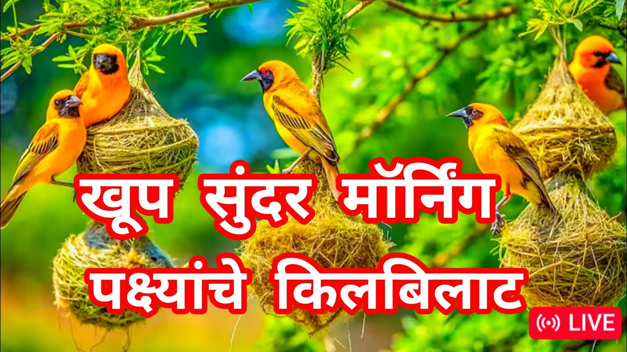 abhang , bhajan , gavlan , kirtan , vari ,tukaram , vittal ,Ram kirshna , harhar mahadev shivaji