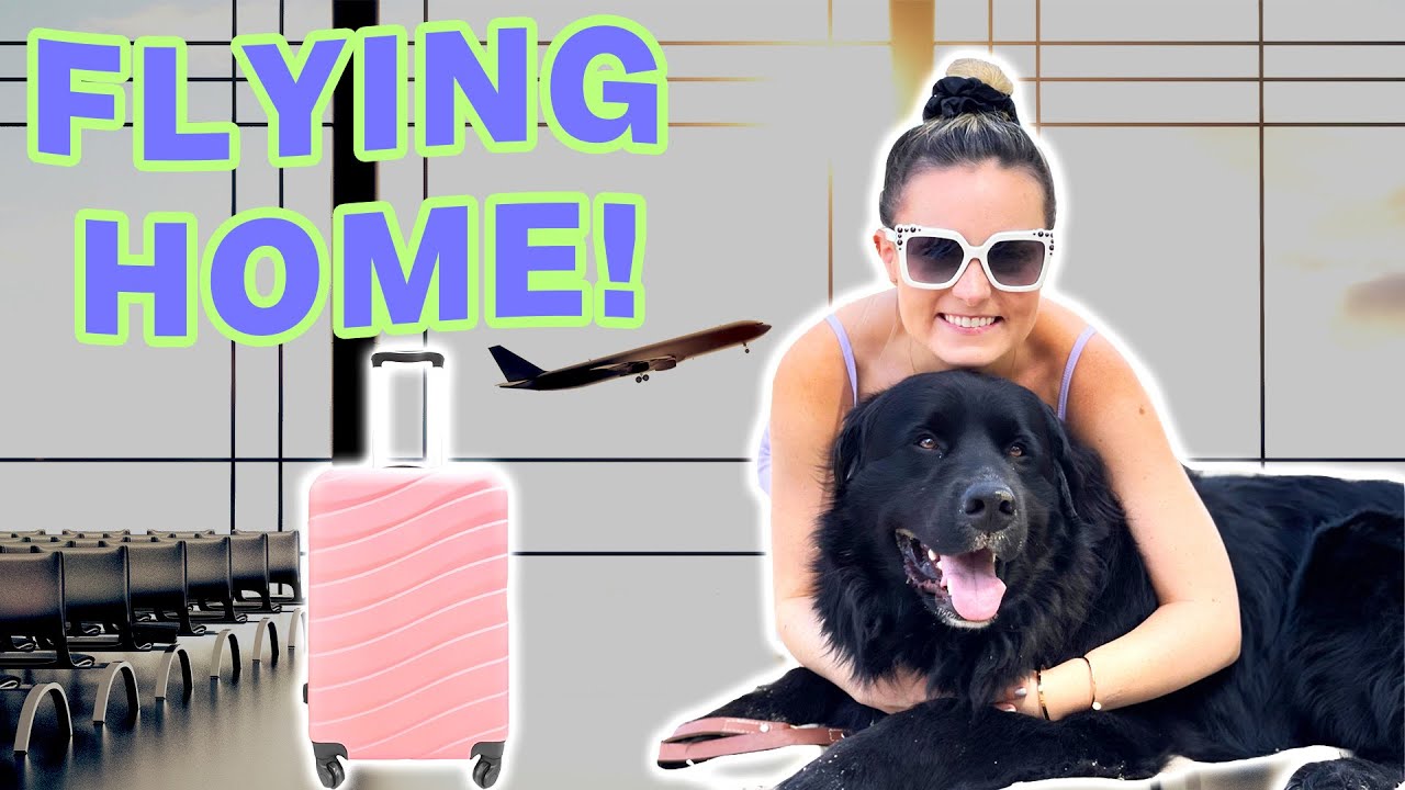 My Guide Dogs First Time On An Airplane! (Flight Home!)