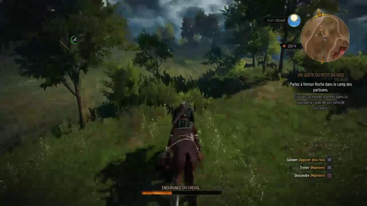 The witcher wild hunt
