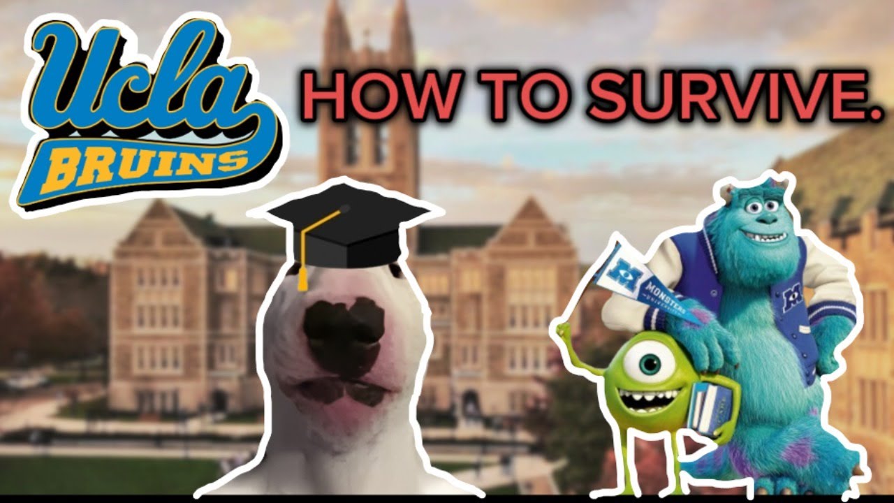 How To Survive Your Freshman Year of College.