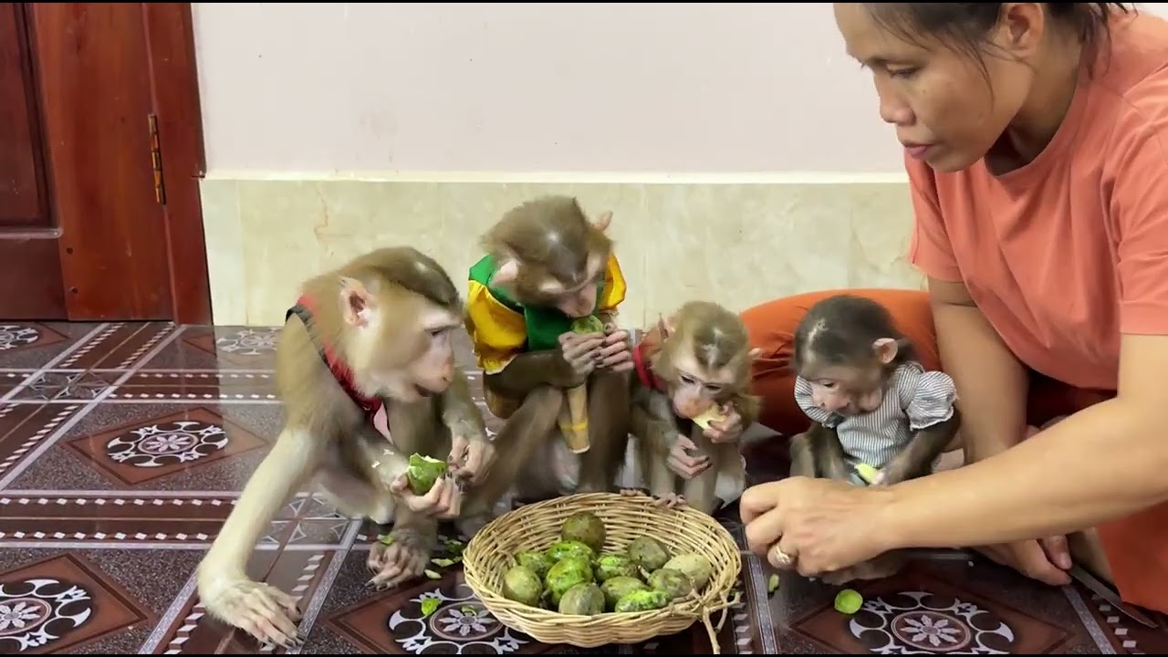 Sibling Eat Super Patient Sharing The Snack Together With Mommy Make Mom So Proud !!